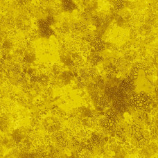 De's Texture Basics 0225Y Yellow